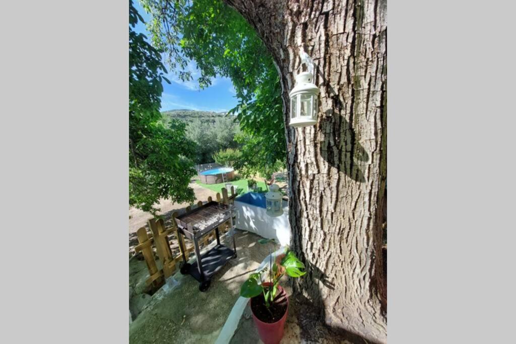La Huerta Del Castillo Con Su Caz De Agua - Enjoy Life & Relax Castillo de Locubin Luaran gambar