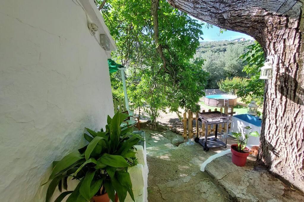La Huerta Del Castillo Con Su Caz De Agua - Enjoy Life & Relax Castillo de Locubin Luaran gambar