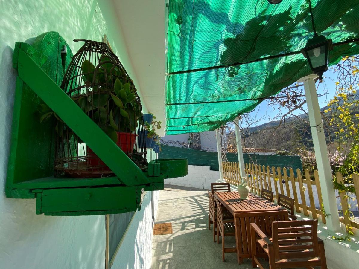 La Huerta Del Castillo Con Su Caz De Agua - Enjoy Life & Relax Castillo de Locubin Luaran gambar